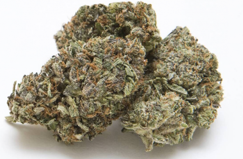 The dank Schrader strain