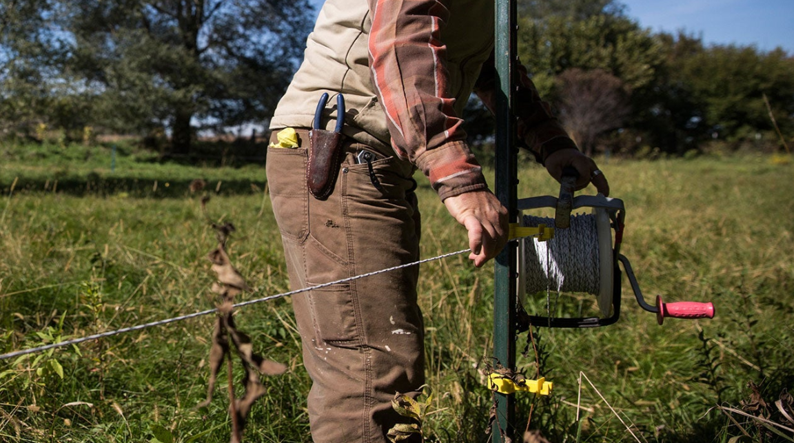 Electric Fence
